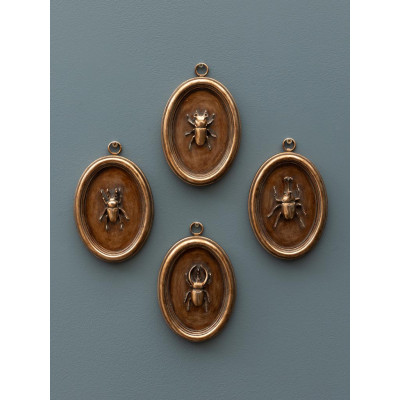 Cadre Ovale cuivré scarabée C