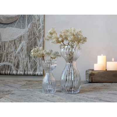 Vase d'Amaryllis en verre...