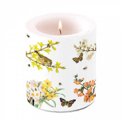 Bougie petit format modèle...